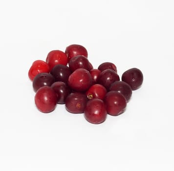 cherries on white background