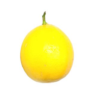 Lemon isolated on white background with copy space 