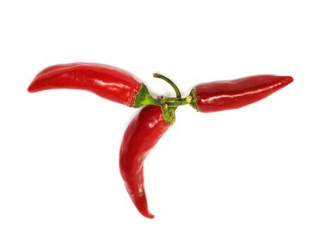 three hot chili peppers 