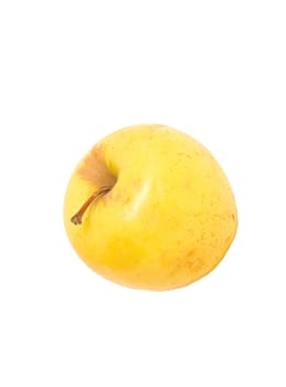 apple on a white background