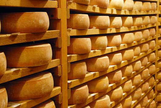 Cheese raclette in refining in a Switzerland cellar