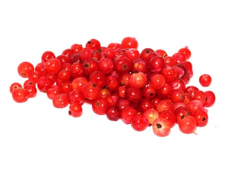 red currant on white background 