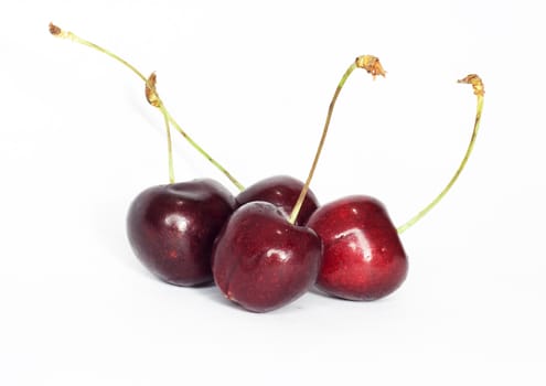 sweet cherry 