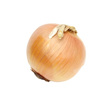 Ripe onion on a white background 