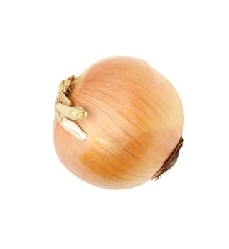 Ripe onion on a white background 