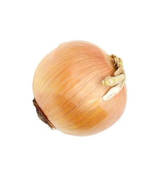 Ripe onion on a white background 