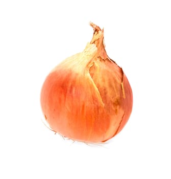 Ripe onion on a white background 