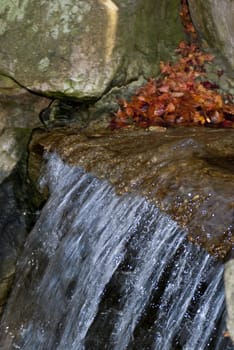 Water spring, stones and red autumn leaves