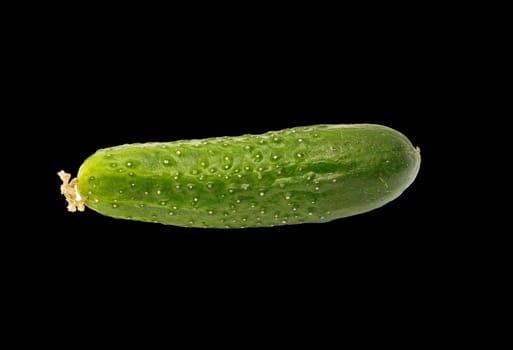  cucumber insulated on black background