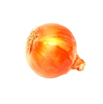 Ripe onion on a white background 