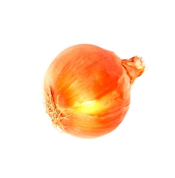 Ripe onion on a white background 