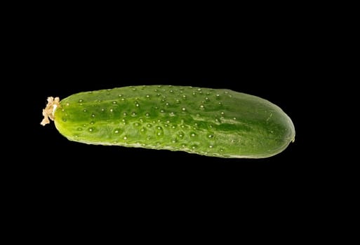 cucumber insulated on black background