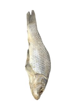 Dried fish allocated on a white background 
