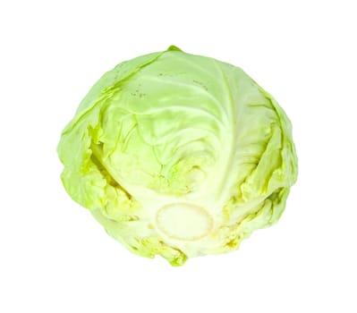 Green cabbage isolated on white background. 