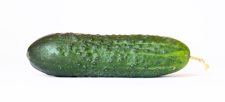Single cucumber, isolated over white 