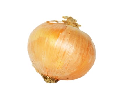 Single onion bulb isolated on white background 
