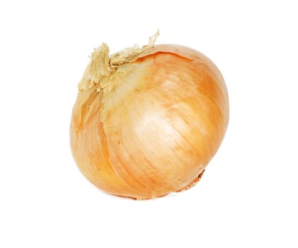 Single onion bulb isolated on white background 