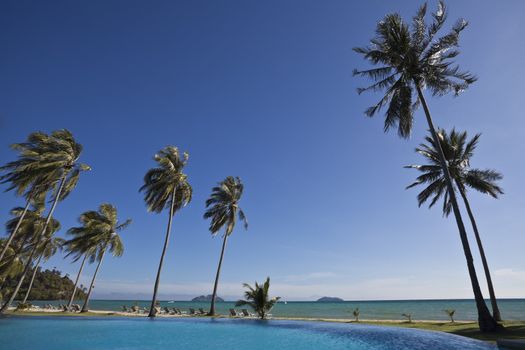 Beautiful swimming pool next to a  beach in thailand. Ko phi phi island.