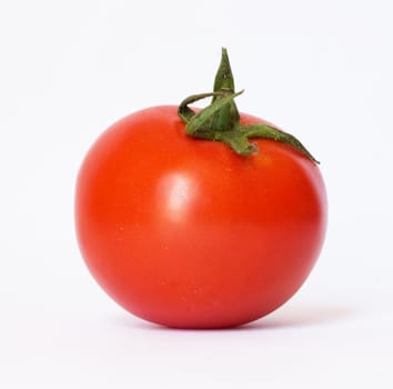 closeup of one red tomato on white background 