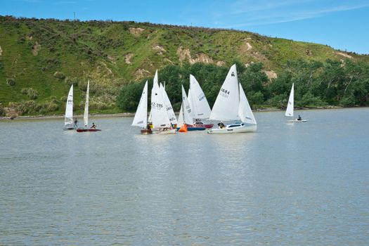 Wairoa Yacht Club small boat fleet racing.