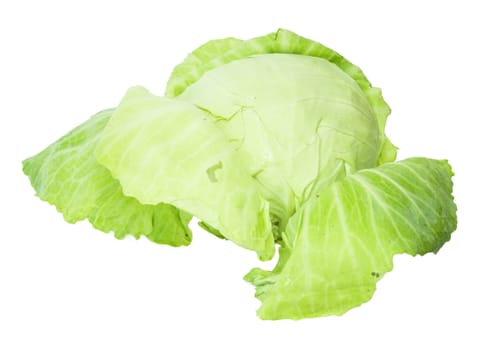 Cabbage isolated on a white background 