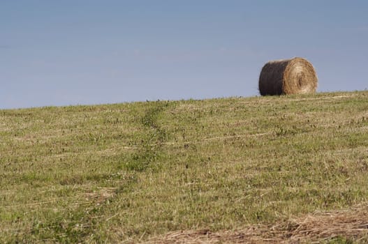 Shot of the landscape - hay-meadow