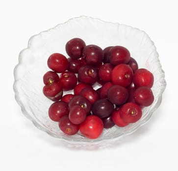 cherries on white background 