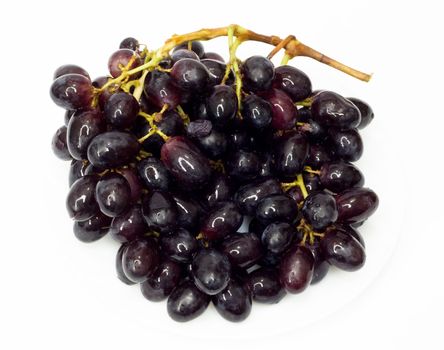 Bunch of black grapes isolated on white background 