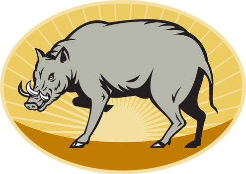 illustration of a babirusa wild pig about to attack set inside ellipse done in retro style with sunburst in background


