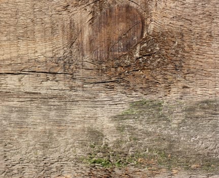 Wooden texture - can be used as a background 