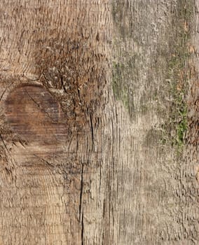 Wooden texture - can be used as a background 