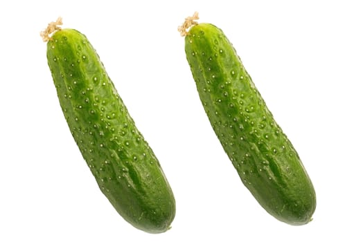 two cucumbers insulated on white background