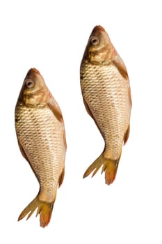 two carps