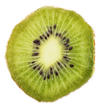 extreme macro kiwi 