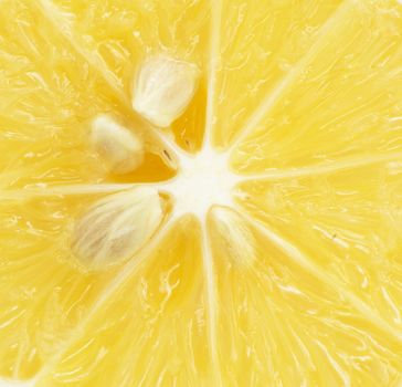 lemon . macro