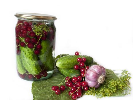 canned cucumbers with red currants, without vinegar, with spicy plants and garlic to the original recipe