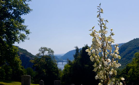 National Park Service owns and operates the historic Civil War town of Harpers Ferry with its old cemetery and flowers framing the river