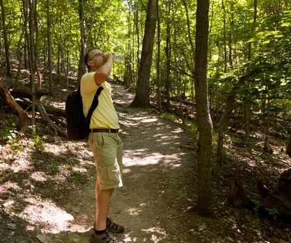 Senior male hiker overlooking the path through forest and drinking from water bottle