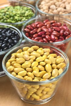 Canary beans and other legumes (black beans, kidney beans, split peas, chickpeas) in glass bowls (Selective Focus, Focus one third into the canary beans) 