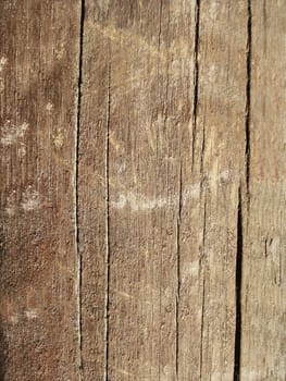 High resolution natural wood grain texture
    