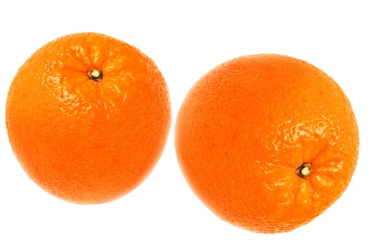 Two oranges were insulated on white background