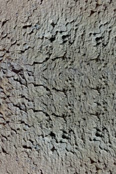  concrete texture
