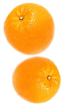 Two oranges were insulated on white background