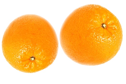 Two oranges were insulated on white background