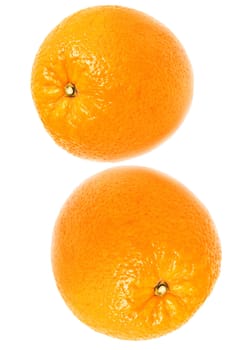 Two oranges were insulated on white background