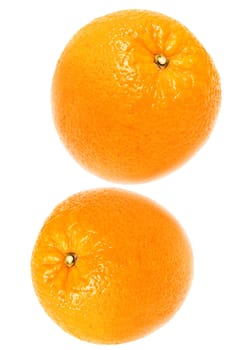 Two oranges were insulated on white background