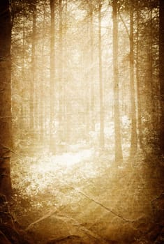 Sunlight in the forest, vintage background with space for text.