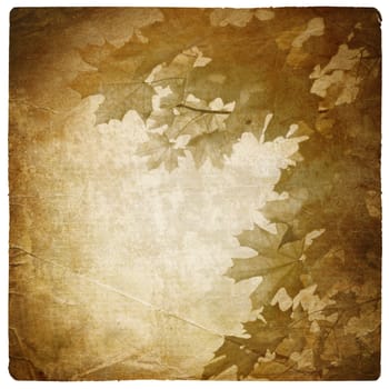 Vintage maple leaves background. Isolated on white.