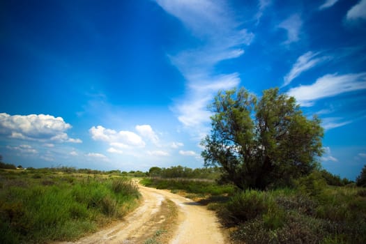 Beautiful landscape under clear blue sky