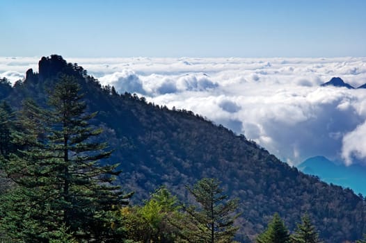 Shennongjia beauty - was taken in Hubei, China